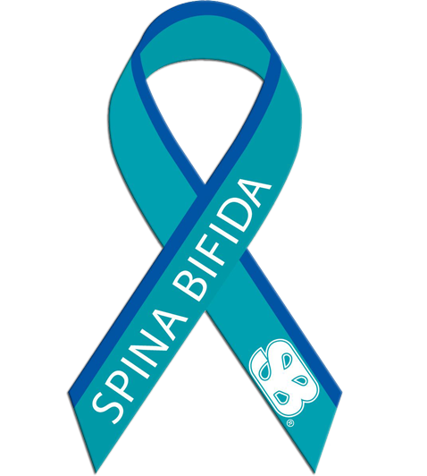 SB Ribbon